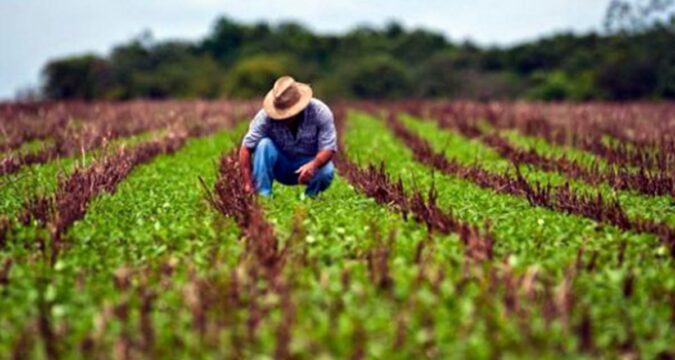 Producción de Alimentos, prioridad mayor en la agricultura cubana.