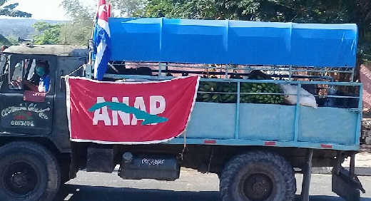 Contribución de los campesinos santiagueros a la alimentación del pueblo santiaguero