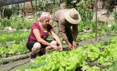 Agricultura urbana, subusrbana y familiar