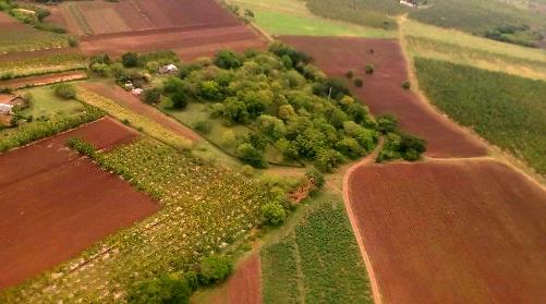 La responsabilidad por el aumento sostenido y eficiente de la agricultura redundará en mejores producciones de alimentos en Santiago de Cuba.