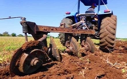 Cantidad y eficiencia, palabras urgentes en la agricultura