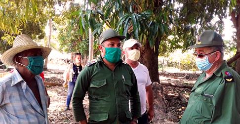 Aprovechar al máximo la cosecha de mangos en la provincia Santiago de Cuba.