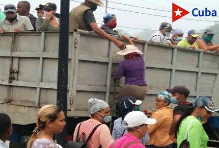 En el municipio Segundo Frente movilizaciones hacia la producción de alimentos. Foto: Eudis Cabrera