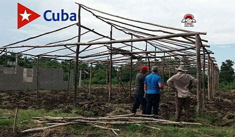 Casas rústicas para mejorar rendimientos agrícolas