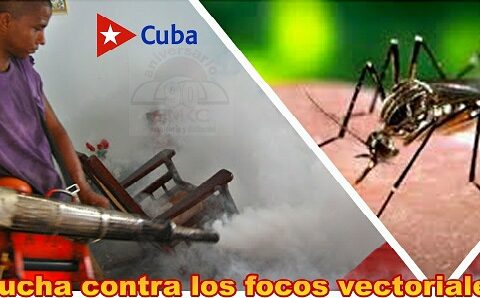 Lucha contra los focos del mosquito aedes aegypti en Santiago de Cuba.