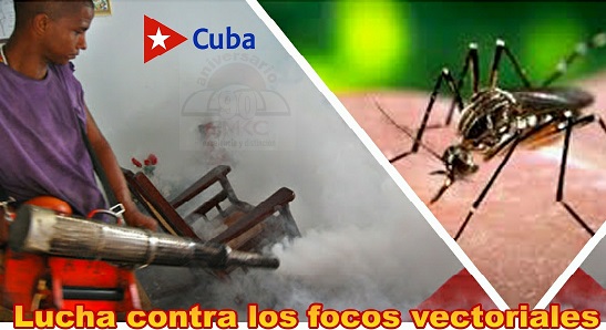 Campaña antivectorial contra el dengue y focos del mosquito aedes aegypti en Santiago de Cuba. 