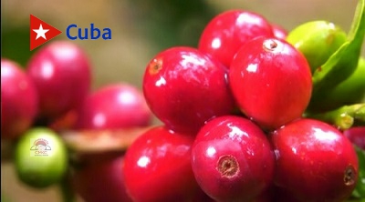 Ciencia y producción de café en Santiago de Cuba