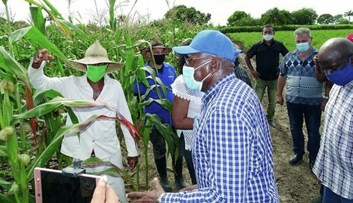 Vicepresidente de la República, Salvador Valdés Mesa, de recorrido por Santiago de Cuba tras afectaciones por la tormenta tropical Eta.