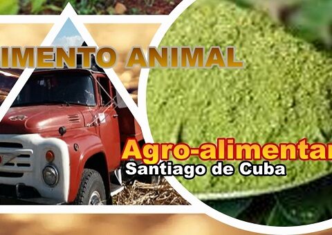 Agroalimentarios Santiago de Cuba por una mejor producción de carne animal