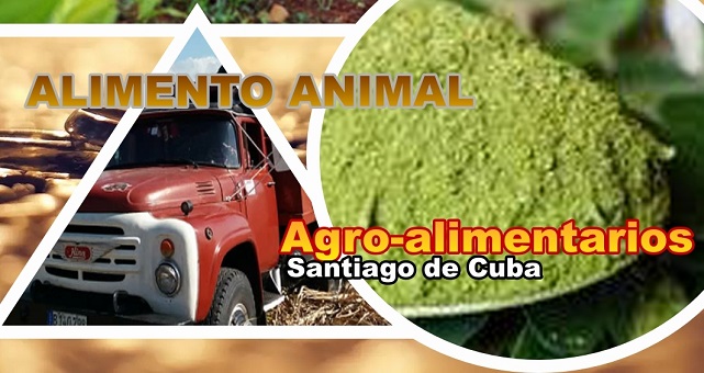 Agroalimentarios Santiago de Cuba por una mejor producción de carne animal