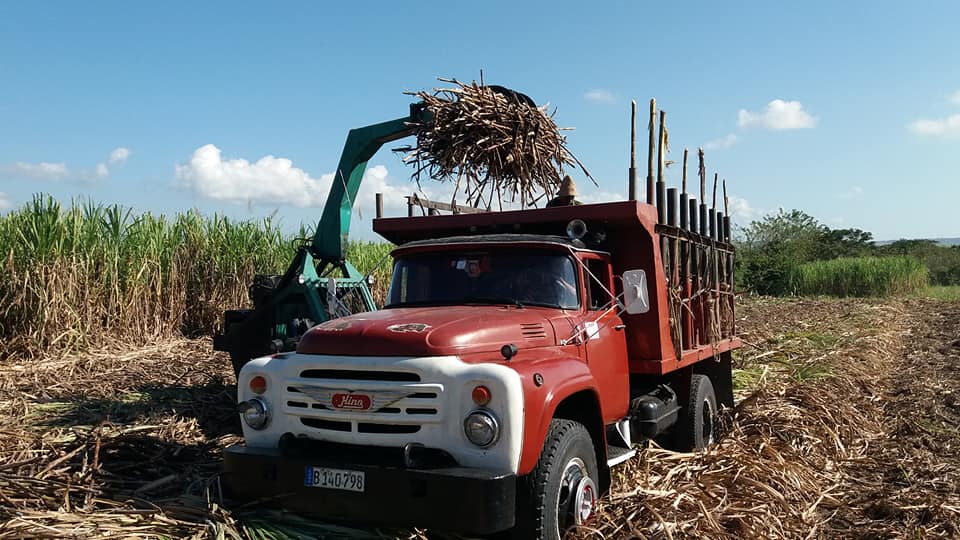 Oslaidis Salazar un joven fuera de serie en el alza y tiro de cañas de azúcar