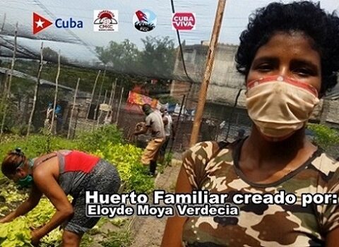 Lo que puede una familia santiaguera con un simple huerto urbano