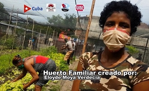 Lo que puede una familia santiaguera con un simple huerto urbano