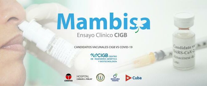 Candidato vacunal Mambisa, de Cuba.