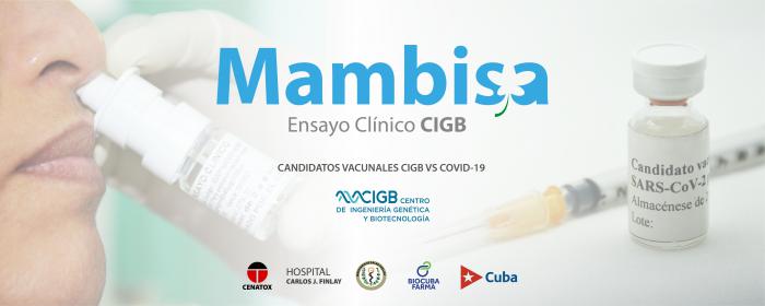 Candidato vacunal Mambisa, de Cuba.