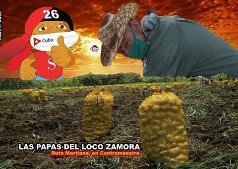 Comió Puré de papa el loco Zamora donde muchos creyeron imposible.Imagen: Santiago Romero Chang.