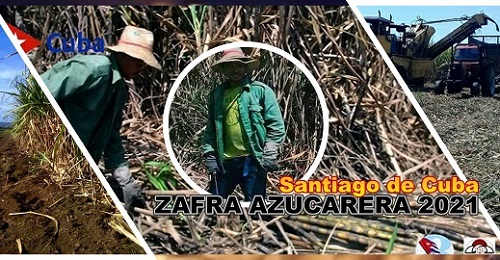 zafra azucarera 2021