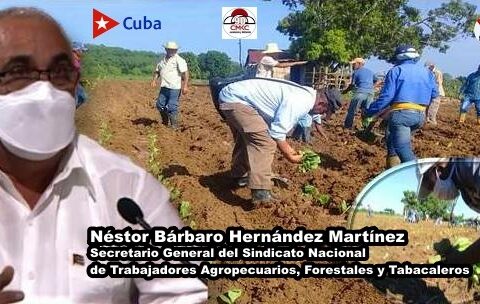 El secretario general del Sindicato Nacional de los Trabajadores Agropecuarios, Forestales y Tabacaleros, Néstor Bárbaro Hernández Martínez