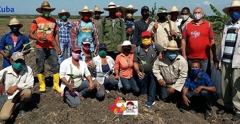 En Ruta Martiana, municipio de Contramaestre, provincia Santiago de Cuba; movimiento de producción agroalimentario.