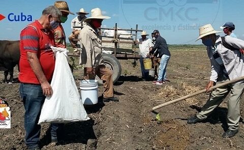 Sequía en Ruta Martiana, municipio de Contramaestre, provincia Santiago de Cuba; movimiento de producción agroalimentario.