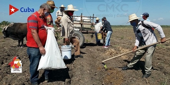 Sequía en Ruta Martiana, municipio de Contramaestre, provincia Santiago de Cuba; movimiento de producción agroalimentario.