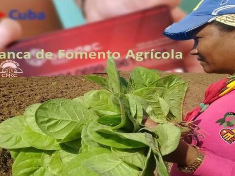 Banca para el fomento agrícola en la provincia Santiago de Cuba. Portada: Santiago Romero Chang