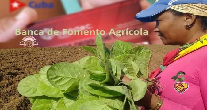 Banca para el fomento agrícola en la provincia Santiago de Cuba. Portada: Santiago Romero Chang