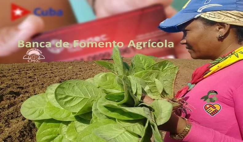 Banca para el fomento agrícola en la provincia Santiago de Cuba. Portada: Santiago Romero Chang