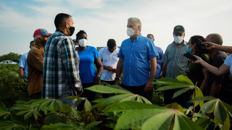 Visita Presidente cubano polo productivo de Mayabeque