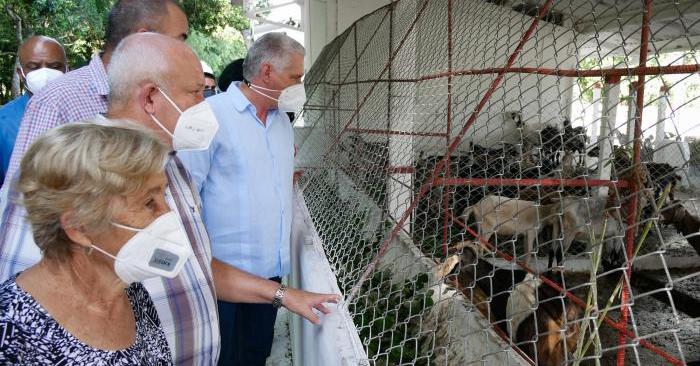 Granja en producción Nazareno, ubicada en el municipio de San José de las Lajas, en la provincia de Mayabeque