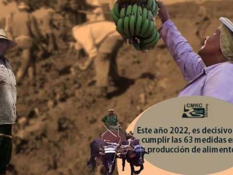 El 2022, decisivo para cumplir las 63 medidas en la producciòn de alimentos en Santiago de Cuba