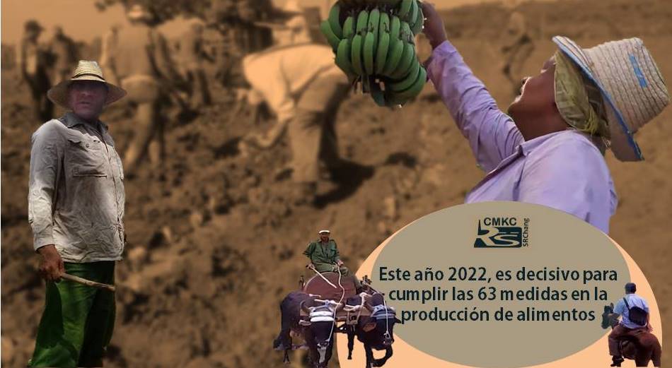 El 2022, decisivo para cumplir las 63 medidas en la producciòn de alimentos en Santiago de Cuba