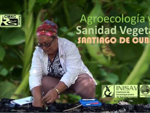 Sanidad Vegetal de la provincia Saniago de Cuba. Portada: Santiago Romero Chang.