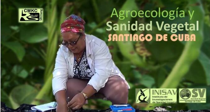 Sanidad Vegetal de la provincia Saniago de Cuba. Portada: Santiago Romero Chang.