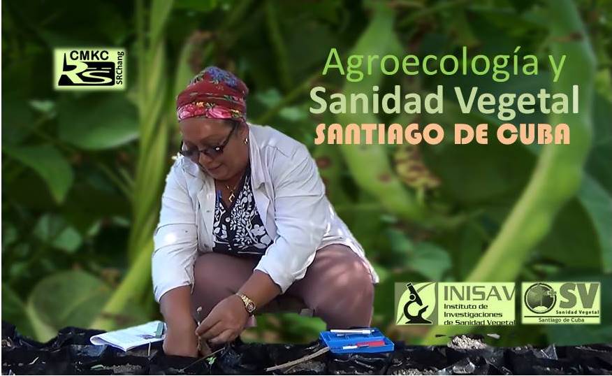 Sanidad Vegetal de la provincia Saniago de Cuba. Portada: Santiago Romero Chang.