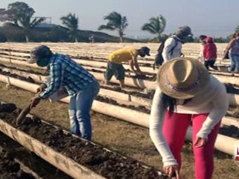 En Santiago de Cuba impulso productivo en saludos a los 83 años de la CTC