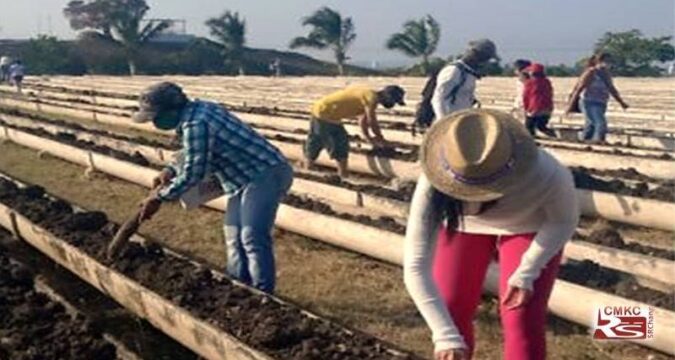 En Santiago de Cuba impulso productivo en saludos a los 83 años de la CTC