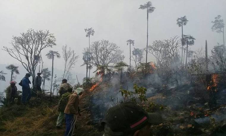 Santiagueros y Holguineros en la contención del incendio en Pinares de Mayarí 2023