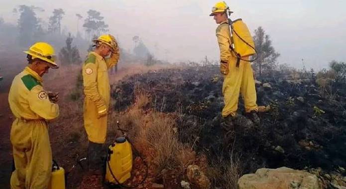 Santiagueros y Holguineros en la contención del incendio en Pinares de Mayarí 2023