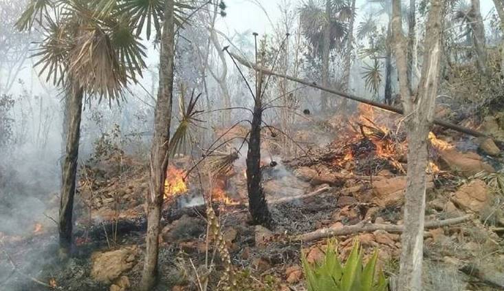 Santiagueros y Holguineros en la contención del incendio en Pinares de Mayarí 2023