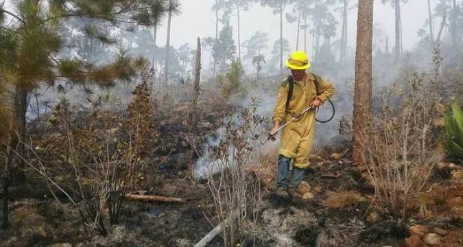 Santiagueros y Holguineros en la contención del incendio en Pinares de Mayarí 2023