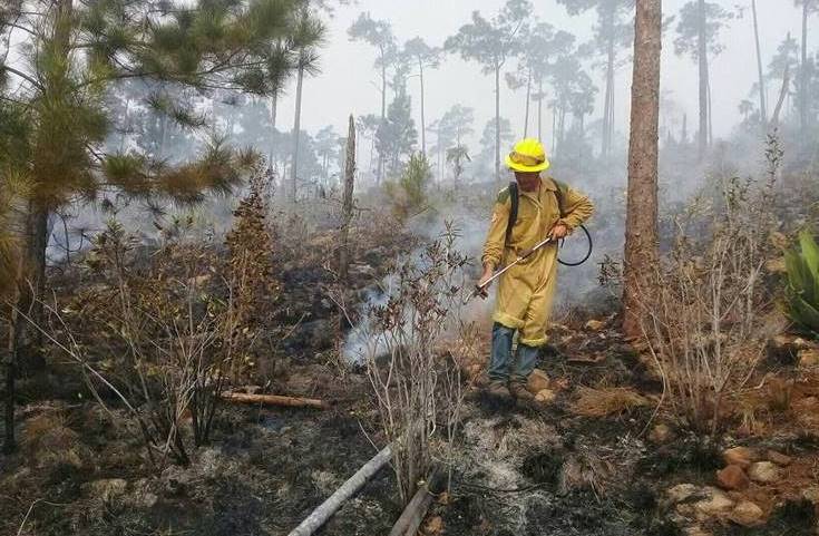 Santiagueros y Holguineros en la contención del incendio en Pinares de Mayarí 2023
