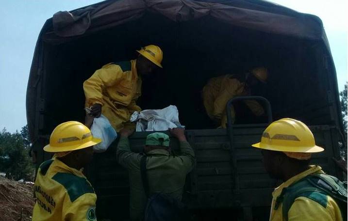 Santiagueros y Holguineros en la contención del incendio en Pinares de Mayarí 2023