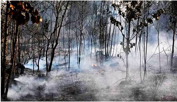 Santiagueros y Holguineros en la contención del incendio en Pinares de Mayarí 2023