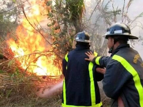 Santiagueros y Holguineros en la contención del incendio en Pinares de Mayarí 2023