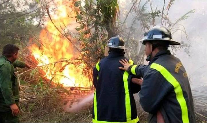 Santiagueros y Holguineros en la contención del incendio en Pinares de Mayarí 2023