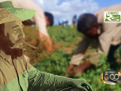 Fidel, el campesino y la Reforma Agraria en Cuba. Portada: Santiago Romero Chang
