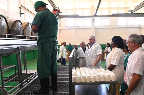 Temprano en la mañana y sobre el polvo pardo del municipio de Contramaestre, el Primer Secretario del Comité Central del Partido Comunista y Presidente de la República, Miguel Díaz-Canel Bermúdez, llegó a la Granja de Ceba América