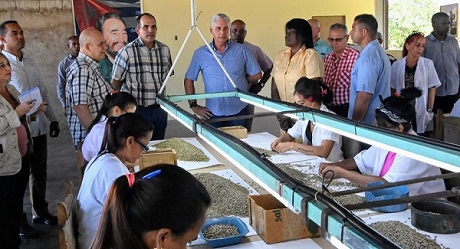 Temprano en la mañana y sobre el polvo pardo del municipio de Contramaestre, el Primer Secretario del Comité Central del Partido Comunista y Presidente de la República, Miguel Díaz-Canel Bermúdez, llegó a la Granja de Ceba América