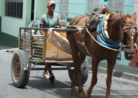 Look Out, Here Comes the Hawker!